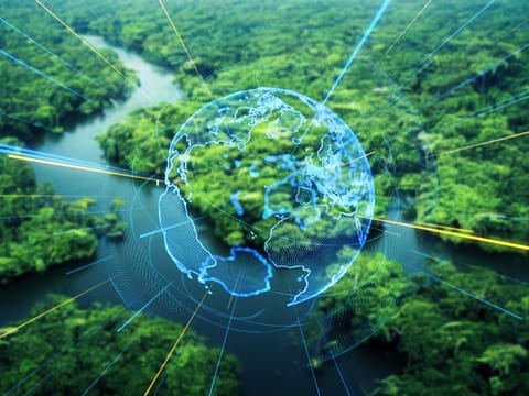 Putting a digital value to the treasured Amazon rainforest. The new funding opportunity from O.N.E. Amazon creates such an opportunity. 