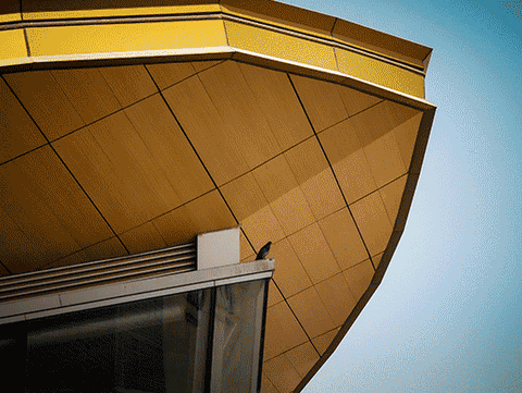From skyscrapers to serendipity: A photographer's love letter to the UAE
