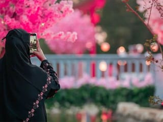 Look: Explore Jeddah's Japanese Sakura Garden for cherry blossoms, delights, and more