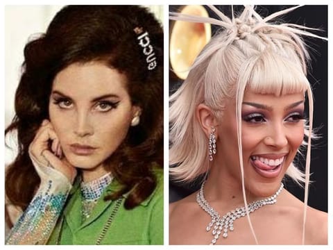 Lana Del Ray and Doja Cat 