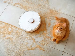 5 best cheap robot vacuums in UAE, for 2024