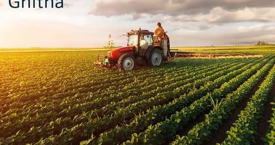 UAE food supplies secure as local farms step up, Ghitha CEO says