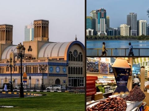 Watch: 7 popular Sharjah destinations you should not miss