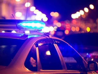 US cops find mysterious $100 million in marijuana - but no owner