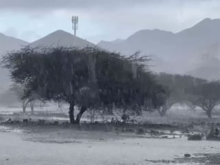 Cloudy in UAE: Heavy to moderate rainfall in Kalba and Fujairah