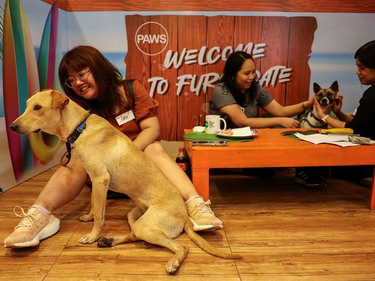 2024-02-14T074847Z_1752237783_RC2426A4GYI7_RTRMADP_3_VALENTINES-DAY-PHILIPPINES-PETS-(Read-Only)