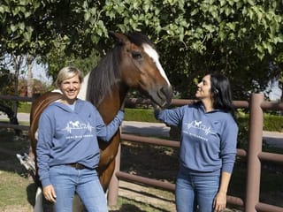 From saddles to sanctuary: How horses are helping heal trauma and stress, Dubai (2024)