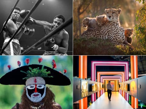 Clockwise, from top left: Ali Takes a Hit, 1971 by David Hume Kennerly; The Family by Angela and Jonathan Scott; a scene from the previous (7th) edition of the Xposure; and Hat Man, New Guinea by Eric Meola.