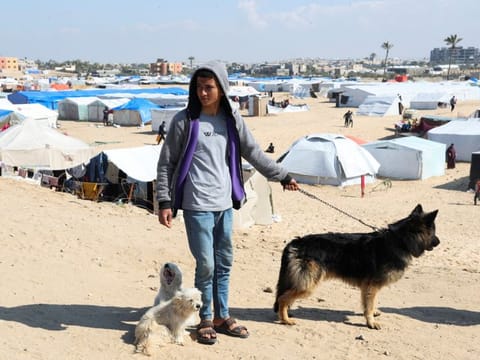 Displaced Palestinian teenager Hassan Abu Saman walks his dogs at a tent camp, amid the ongoing conflict between Israel and the Palestinian Islamist group Hamas, in Rafah on February 20, 2024.  