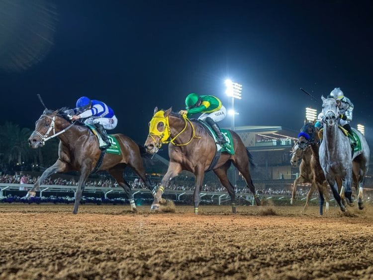 Senor Buscador (blue silks)-1708866787563