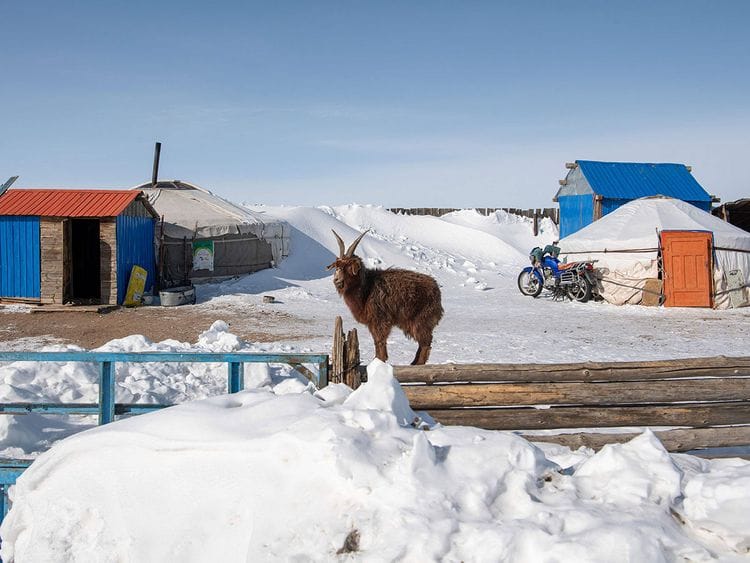 Mongolia