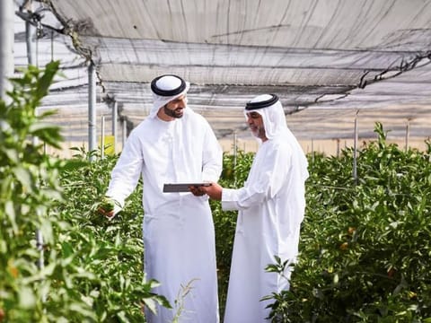 The One Health Biosecurity Programme focuses on developing policies and measures based on plans and programmes to reduce the spread of diseases and epidemics.
