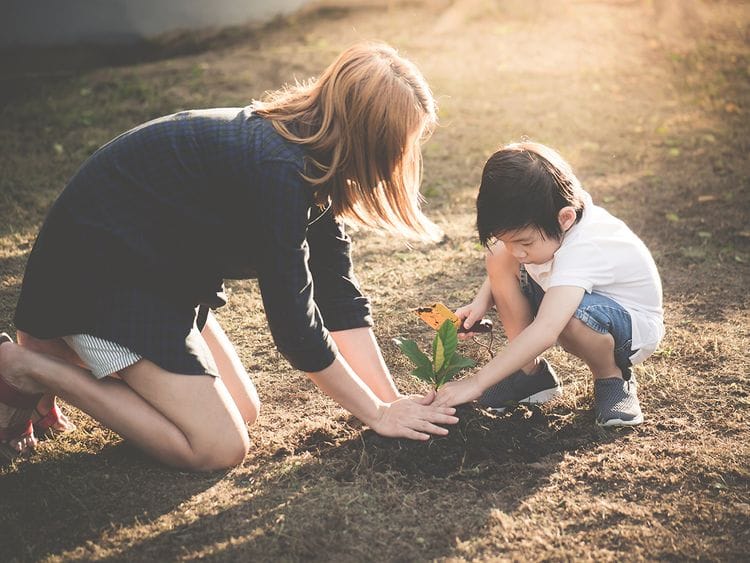 woman planting