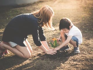 Beyond material possessions: Exploring the emotional power of legacy