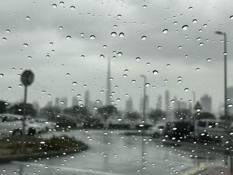 Dubai Municipality said residents can report any emergency via its call centre (800900) or WhatsApp (+971800900). File picture of rain in Dubai.