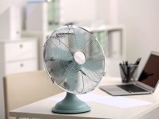 Fans work by constantly displacing warmer air in their vicinity, so you can enjoy ‘cool’ winds in the process.