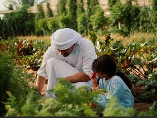 Sustainability enthusiasts urged to share stories under new UAE-wide initiative