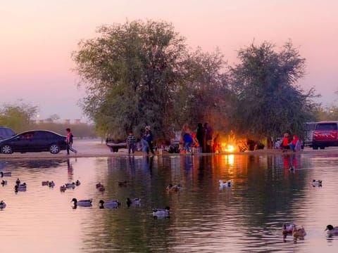 Discover Al Qudra Lake: A nature getaway in Dubai