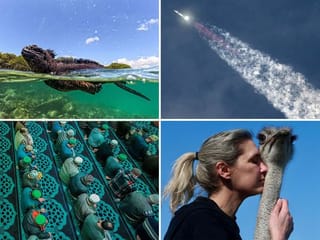 Ramadan prayers, SpaceX Starship launch, Ostrich hug and more: Top 10 pictures of the week