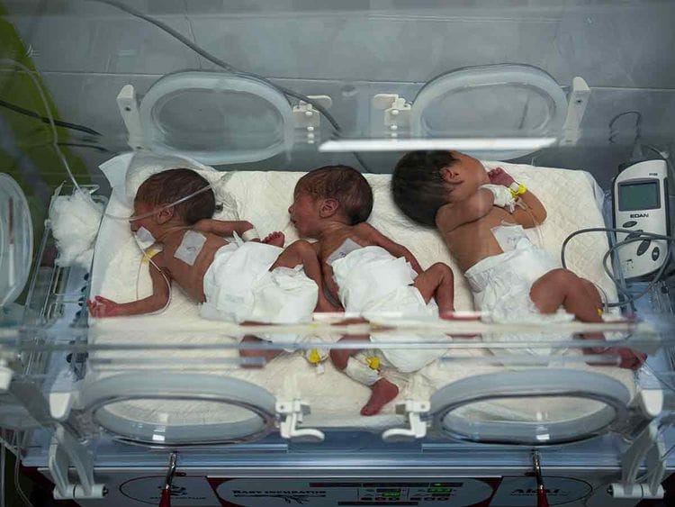 Babies