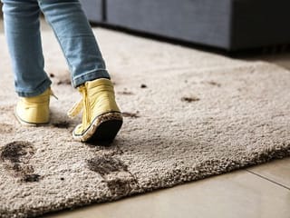 Hidden dangers in your shoes - from E.coli to lead: Why you need to leave them by the door! 