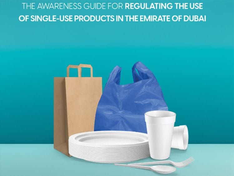 plastic-ban-1711631404931