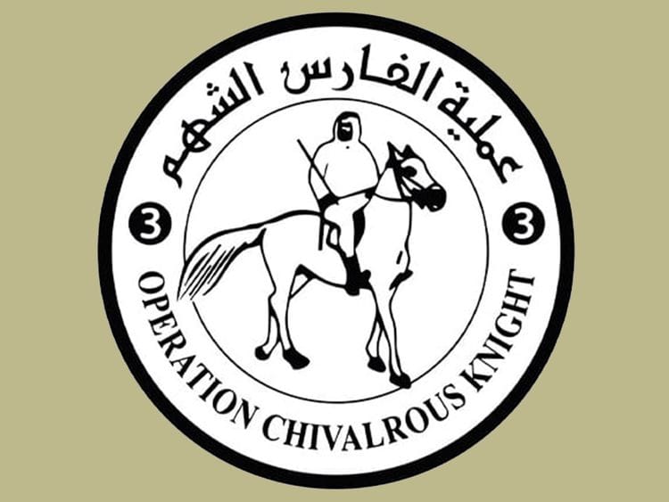 Operation Chivalrous Knight 3, Birds of Goodness