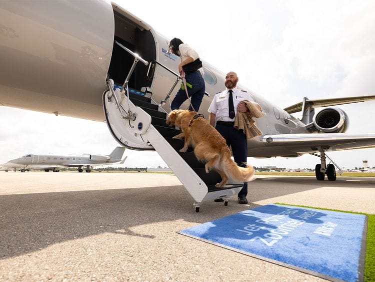 STOCK bark air