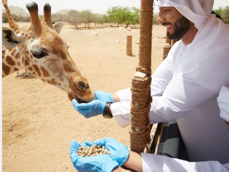 Al Ain Zoo Feeds-1713158862665