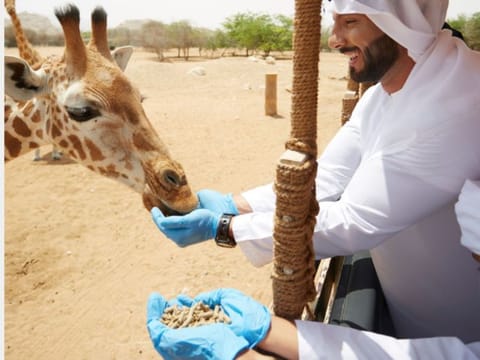 Al Ain Zoo goes festive: Ramadan nights filled with wildlife and family fun