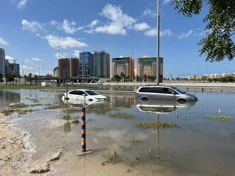 UAE: If you lost your car number plate during the heavy rains, you first need to file a lost item report with the local police authority in your emirate. Picture used for illustrative purposes.