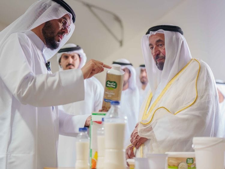 dairy farm 4-1714405224266