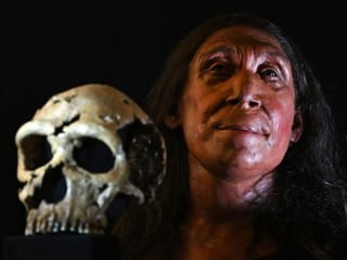 Was a lack of get-up-and-go the death of the Neanderthals?