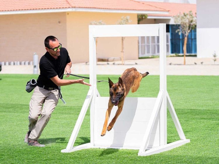 WWK9