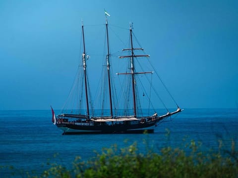 The long tall ship Oosterschelde sails in Puerto Ayora, Galapagos, Ecuador on May 11, 2024. As in 1831, the Oosterschelde left the English port of Plymouth to recreate the journey around the world of the naturalist Charles Darwin. Now in the Galapagos, expeditionaries found an archipelago different from the one that founded the theory on the evolution of species in the 19th century. 