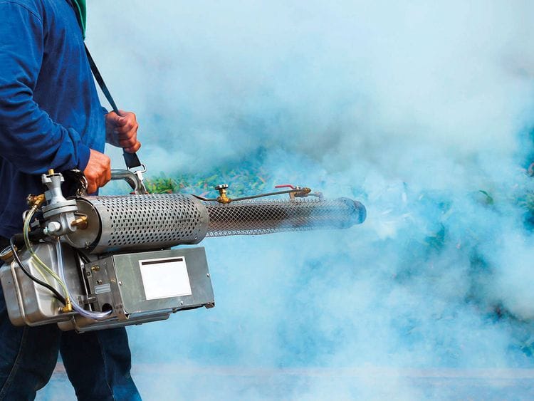 20240522 dengue