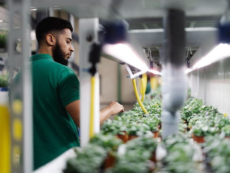 UNS Vertical Farms