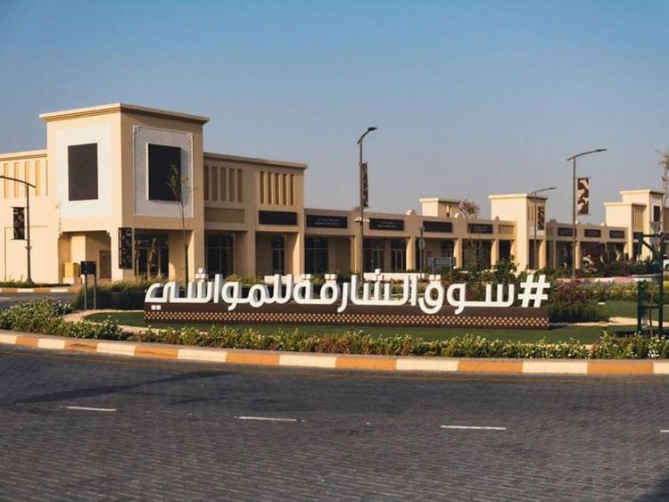 sharjah-livestock-market-1718095457733
