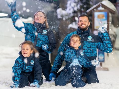Ski Dubai at Mall of the Emirates 