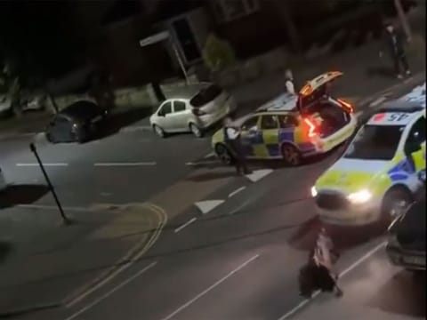 The cow ended up with its head and upper body trapped under the police car.