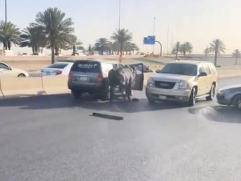 The incident, which was recorded in viral video, took place on Sunday morning.