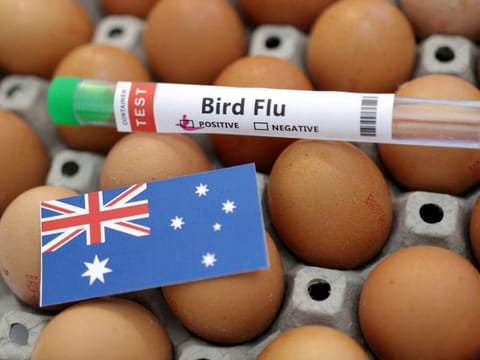 The report pointed out that WHO members have still not sealed a much-discussed pandemic agreement, mainly due to differences between well-off nations and those who felt cut adrift during the COVID crisis.