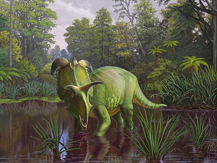 2024-06-20T115847Z_658389813_RC25JZ9SG5L3_RTRMADP_3_SCIENCE-LOKICERATOPS-(Read-Only)