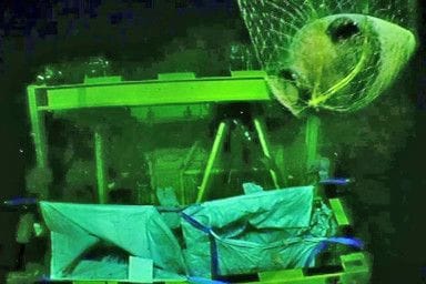 This handout image provided by the Israel Antiquities Authority (IAA) on June 20, 2024 shows a robot from London-listed energy firm Energean which operates off Israel, retrieving a jar as part of the discovery of artefacts in a wreck more than a mile deep on the bed of the Mediterranean Sea.  