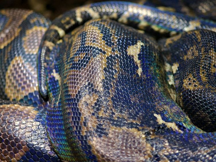 20240703 python