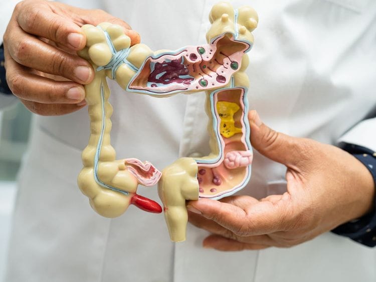 Dubai-Herbal-Colon-Hydrotherapy-FOR-WEB