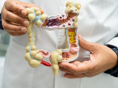 Colon hydrotherapy at Dubai’s first registered colon hydrotherapy training center