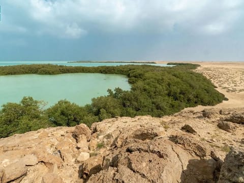 Saudi Arabia's efforts are part of a broader goal to plant 100 million mangrove seedlings along the coasts of the Red Sea and the Arabian Gulf in the coming years.