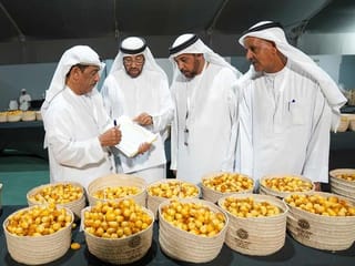 Why Abu Dhabi’s Liwa Date Festival is a must-visit?