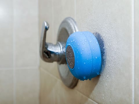 What you truly need is a speaker that delivers clear vocals, balanced mids, and controlled bass for an enjoyable shower listening experience.